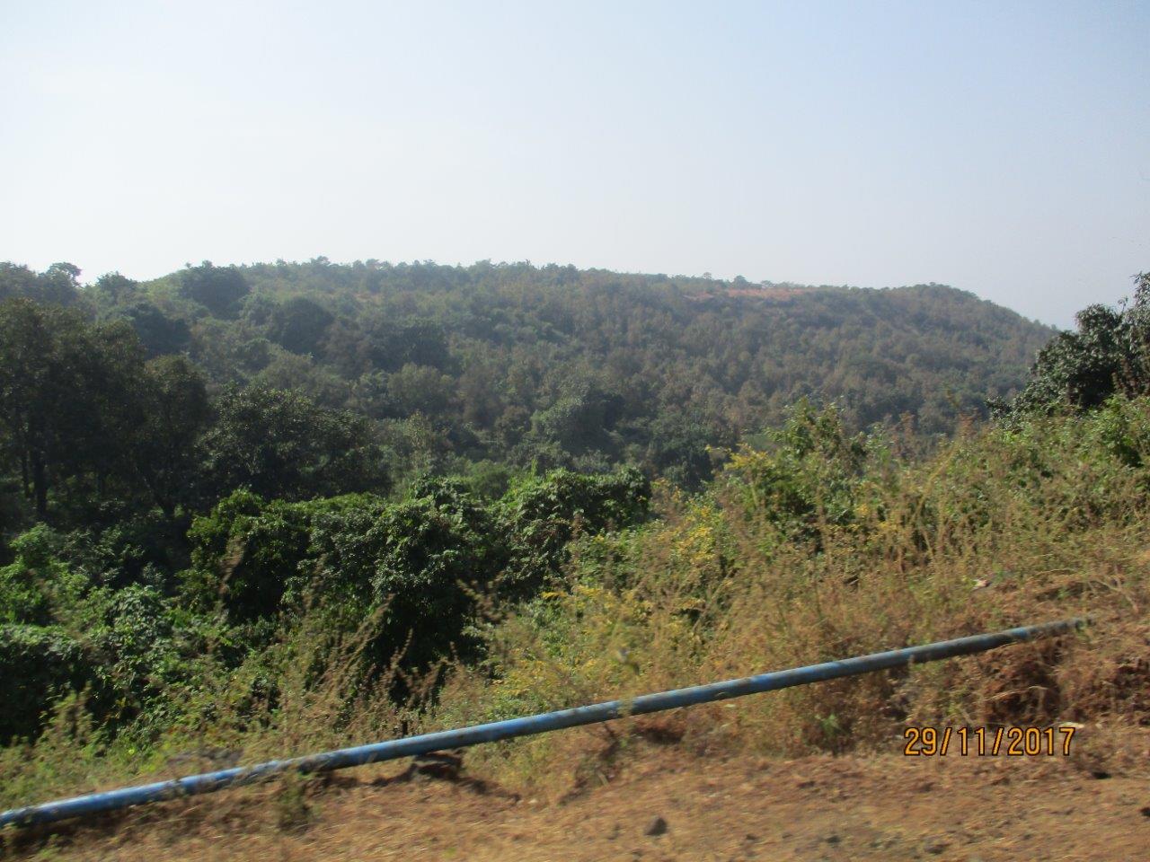 3 DIGHI PORT (4)
