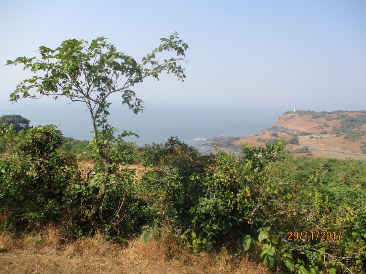 3 DIGHI PORT (5)
