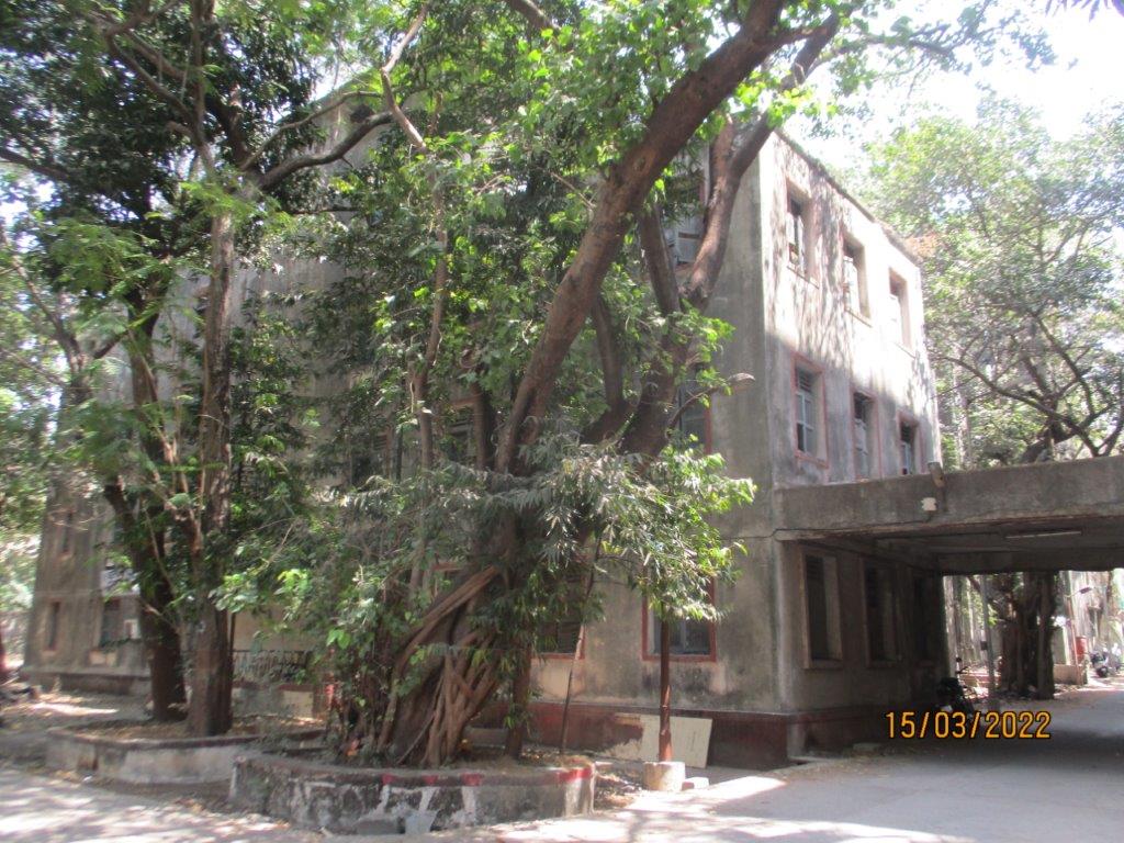 ESIC MGM HOSPITAL PAREL (4)