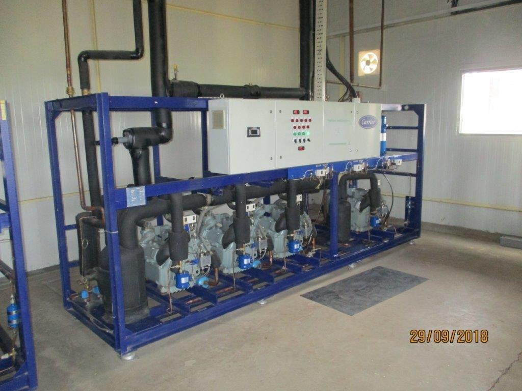 FOOD PROCESSING (33)