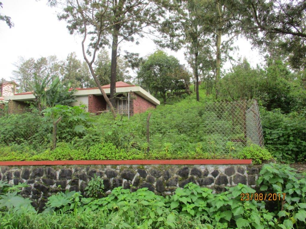 Pachgani (2)