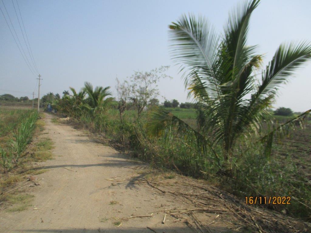 SHINGADE SAOKASWADI 1 (1)