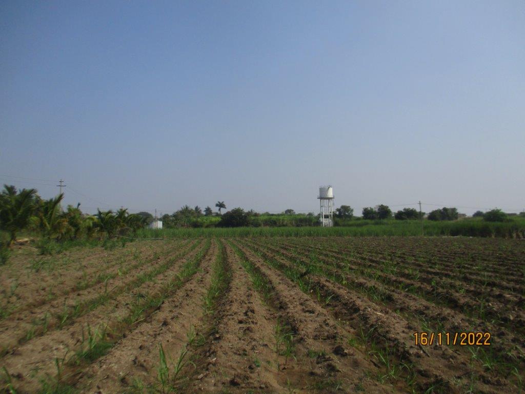 SHINGADE SAOKASWADI 1 (3)