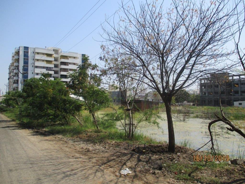 Z Surendranagar Gujarat (1)