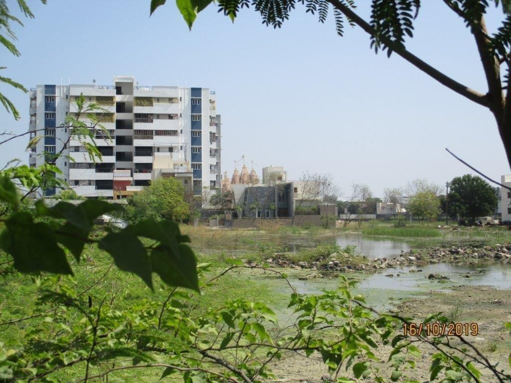 Z Surendranagar Gujarat (2)